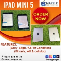 iPad Mini 5 [GREY]