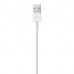 Lightning to USB Cable (2 m)